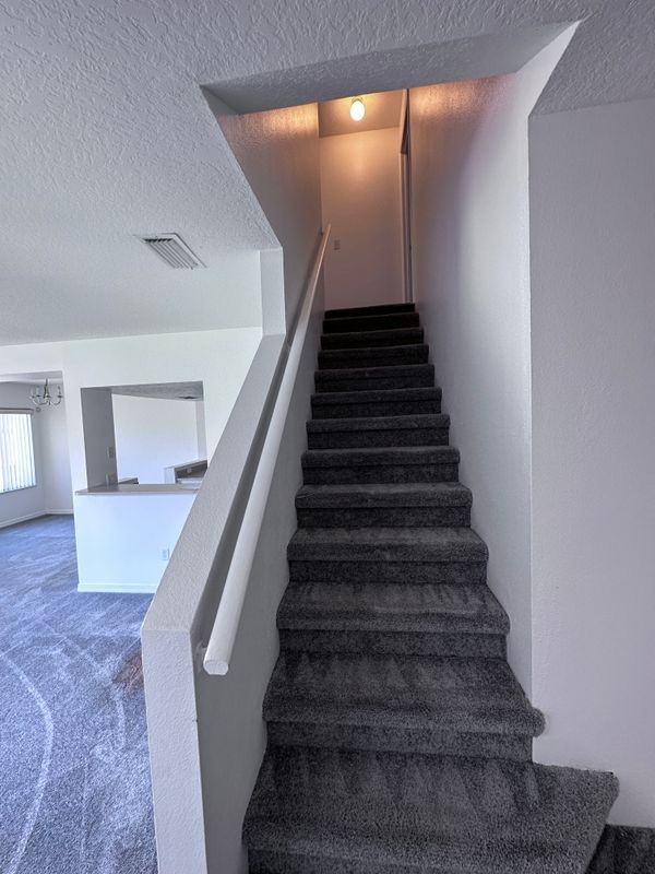 307 Coconut Palm Way - Photo 6 of 26