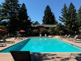 Pine Tree Apartments - Photo 1 of 1