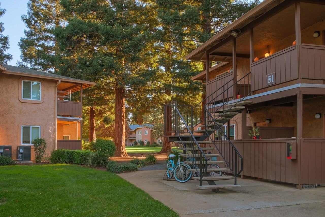 Pine Tree Apartments - Photo 5 of 50