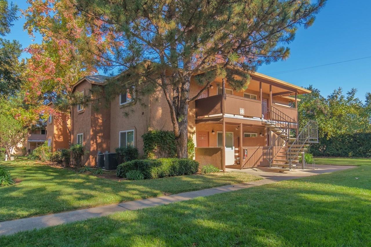Pine Tree Apartments - Photo 6 of 50