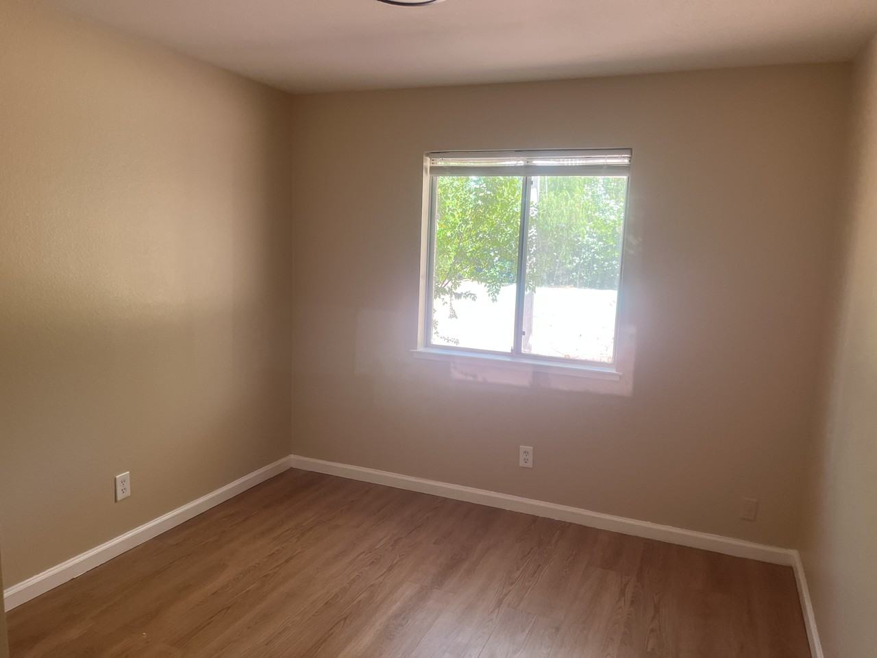5117 Comanche Court - Photo 6 of 13
