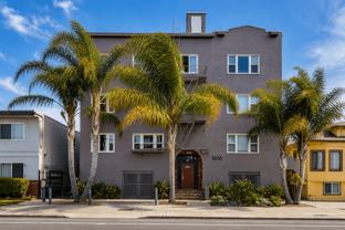 Palm Haus - Photo 1 of 1
