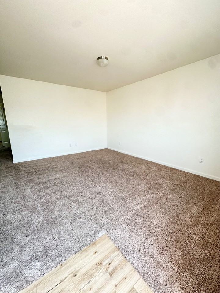 343 Annie Morgan Ct - Photo 5 of 22
