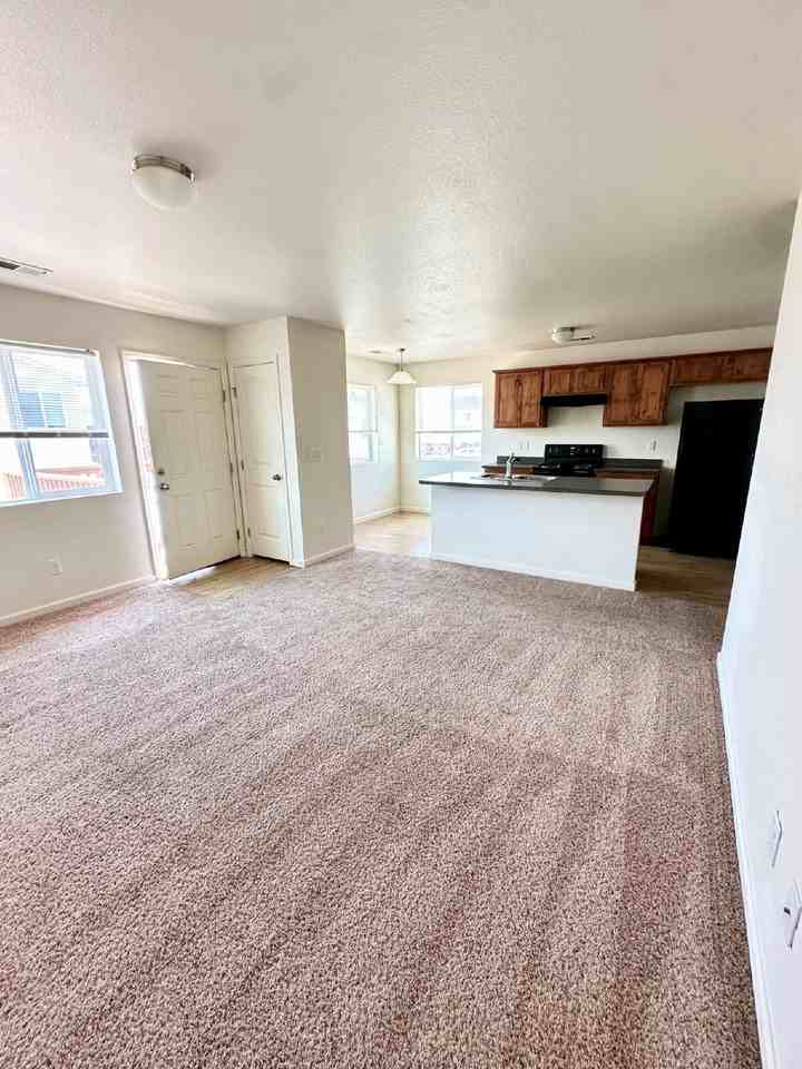 343 Annie Morgan Ct - Photo 7 of 22