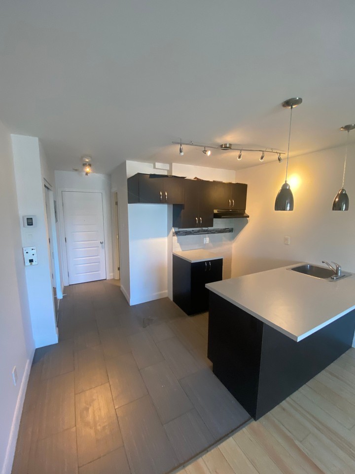 5687 Saint Hubert - Photo 3 of 12