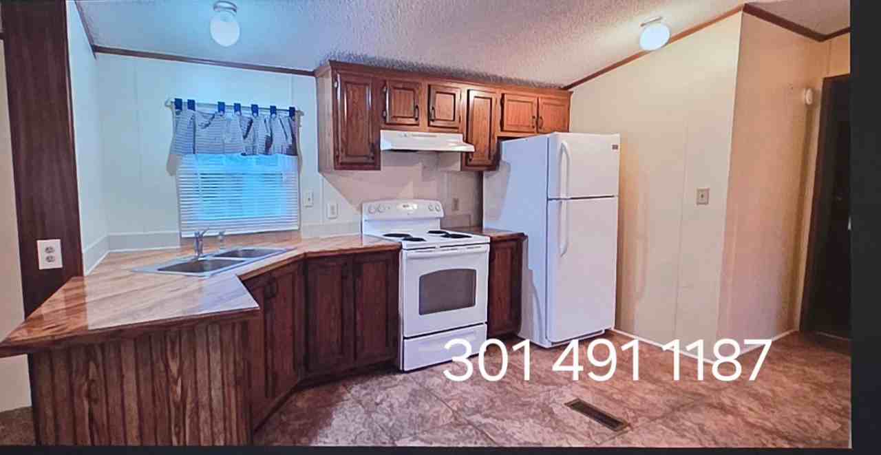 11734 Harp Rd - Photo 3 of 14