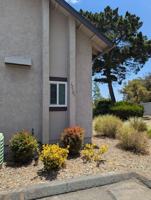 featured image of 12103 Wilsey Way