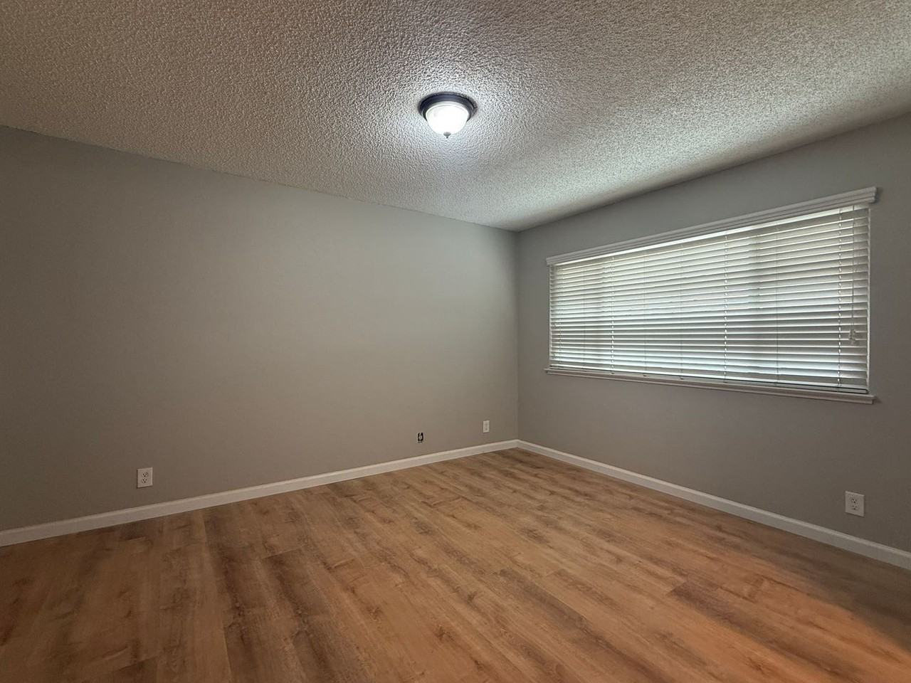 905 Cape Buffalo Dr - Photo 5 of 13