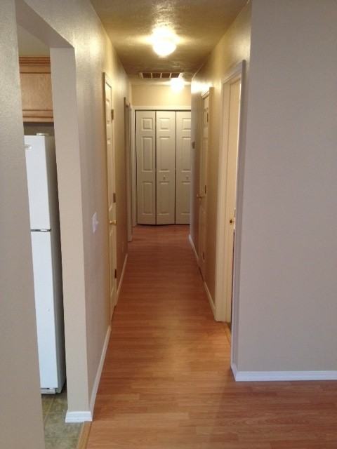 1013 Deer Trail Ln - Photo 6 of 12