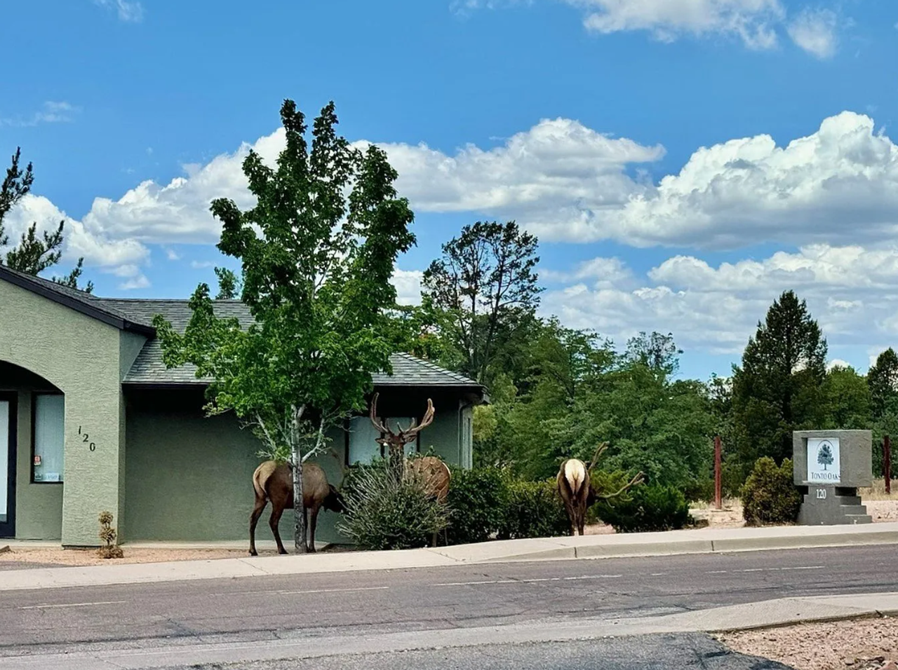 Tonto Oaks Apartments - Photo 6 of 22