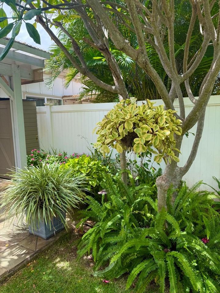 679 Meakanu Ln - Photo 2 of 39