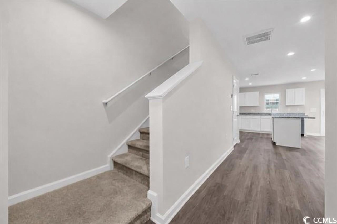 399 Myrtle Meadows Dr - Photo 3 of 20