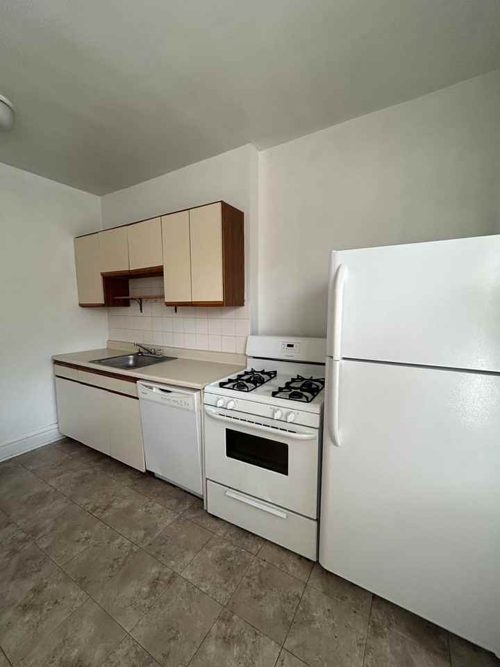 4157 N Damen Ave #2 - Photo 5 of 11