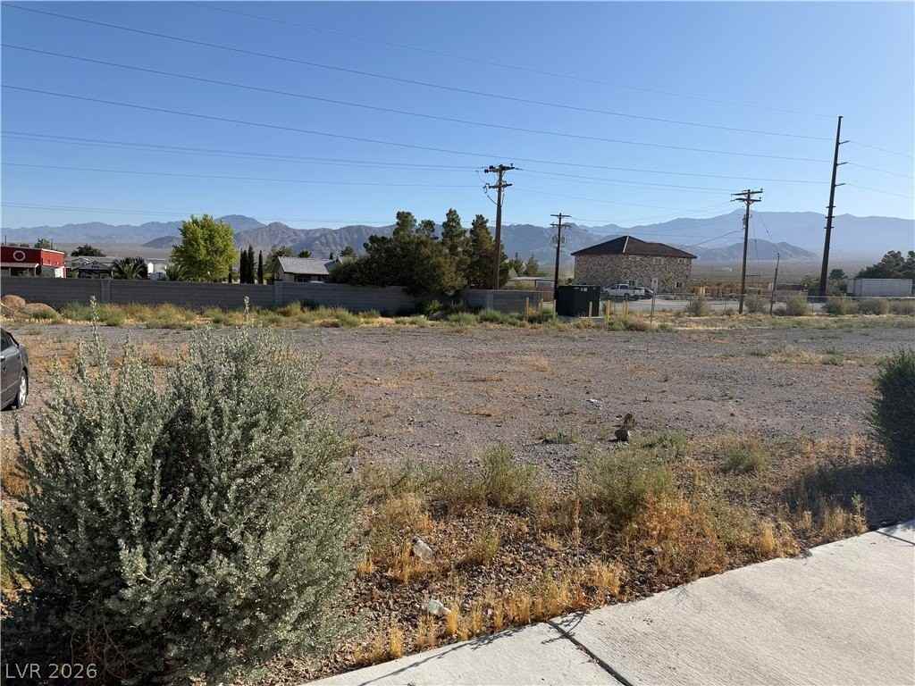6041 Hafen Ranch Rd - Photo 4 of 12