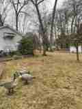 77 Wardle Ave - Photo 1 of 1