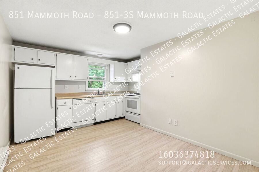 851 Mammoth Rd - Photo 2 of 17