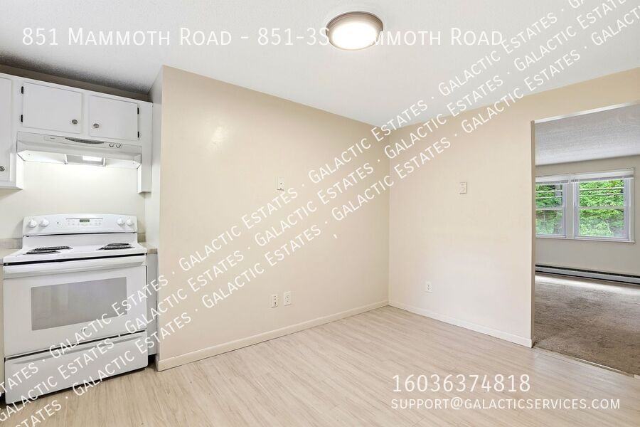 851 Mammoth Rd - Photo 4 of 17