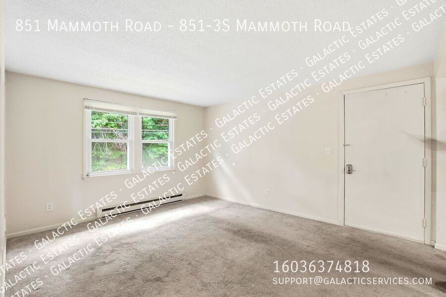 851 Mammoth Rd - Photo 6 of 17