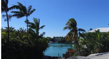 featured image of 530 Harbor Dr