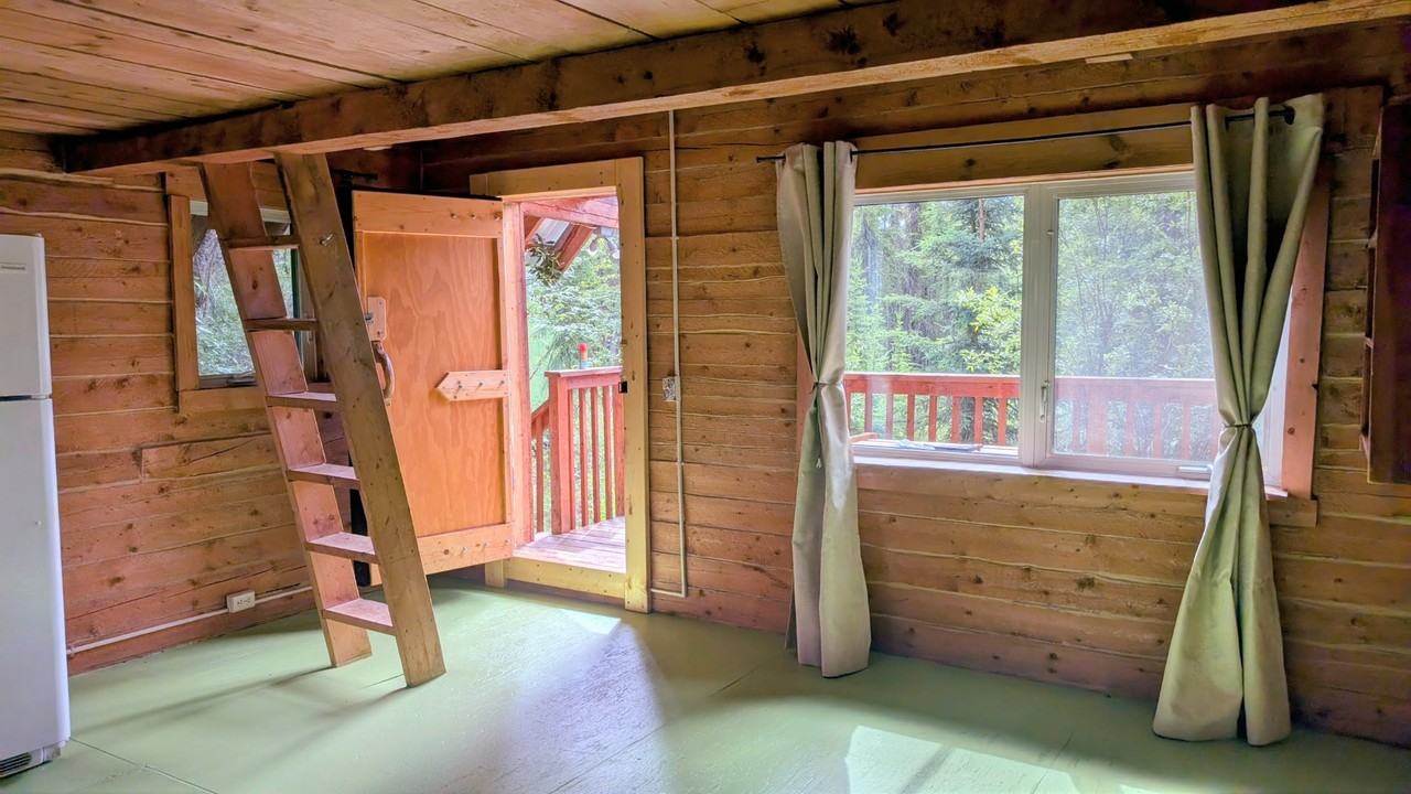 2335 Black Spruce Ct - Photo 5 of 18