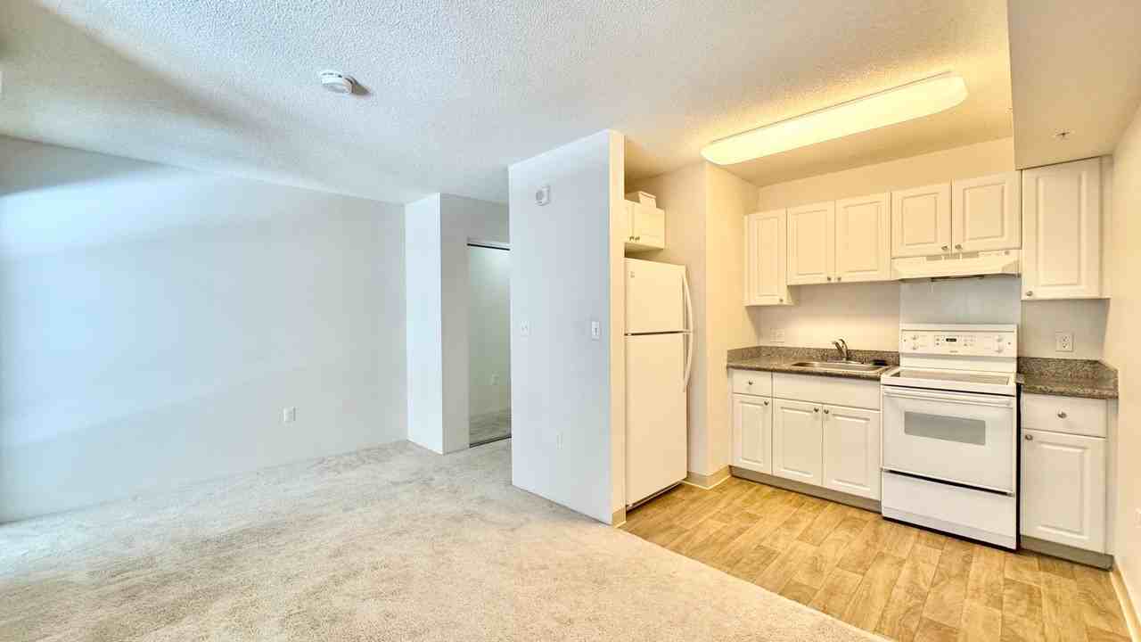 801 South St #305
