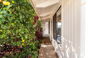 featured image of 2986 Lower Kula Rd #OHANA