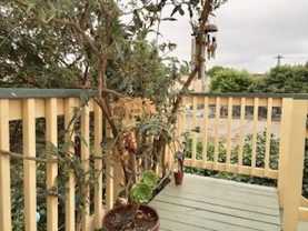 543 30th St ##C - Photo 1 of 1