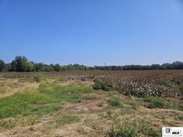 featured image of Magnolia Dr
