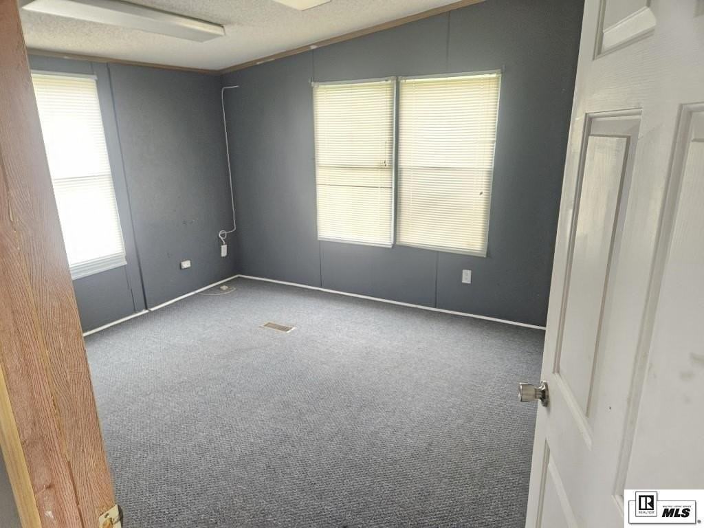 3480 Highway 165 Byp - Photo 5 of 13