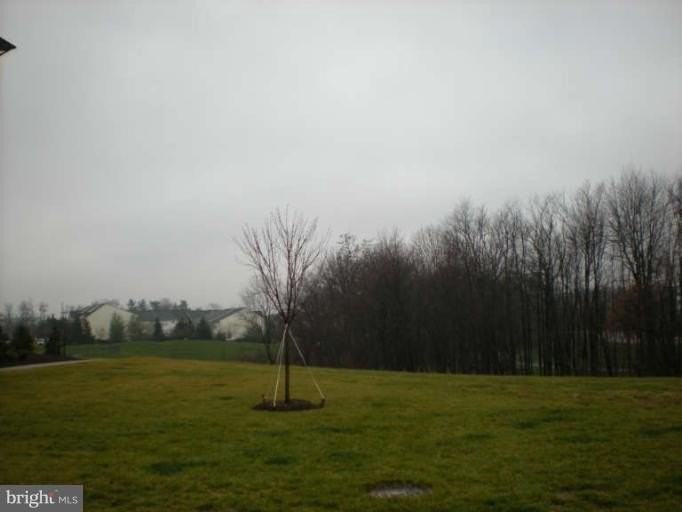 3630 Spring Hollow Ln - Photo 2 of 12