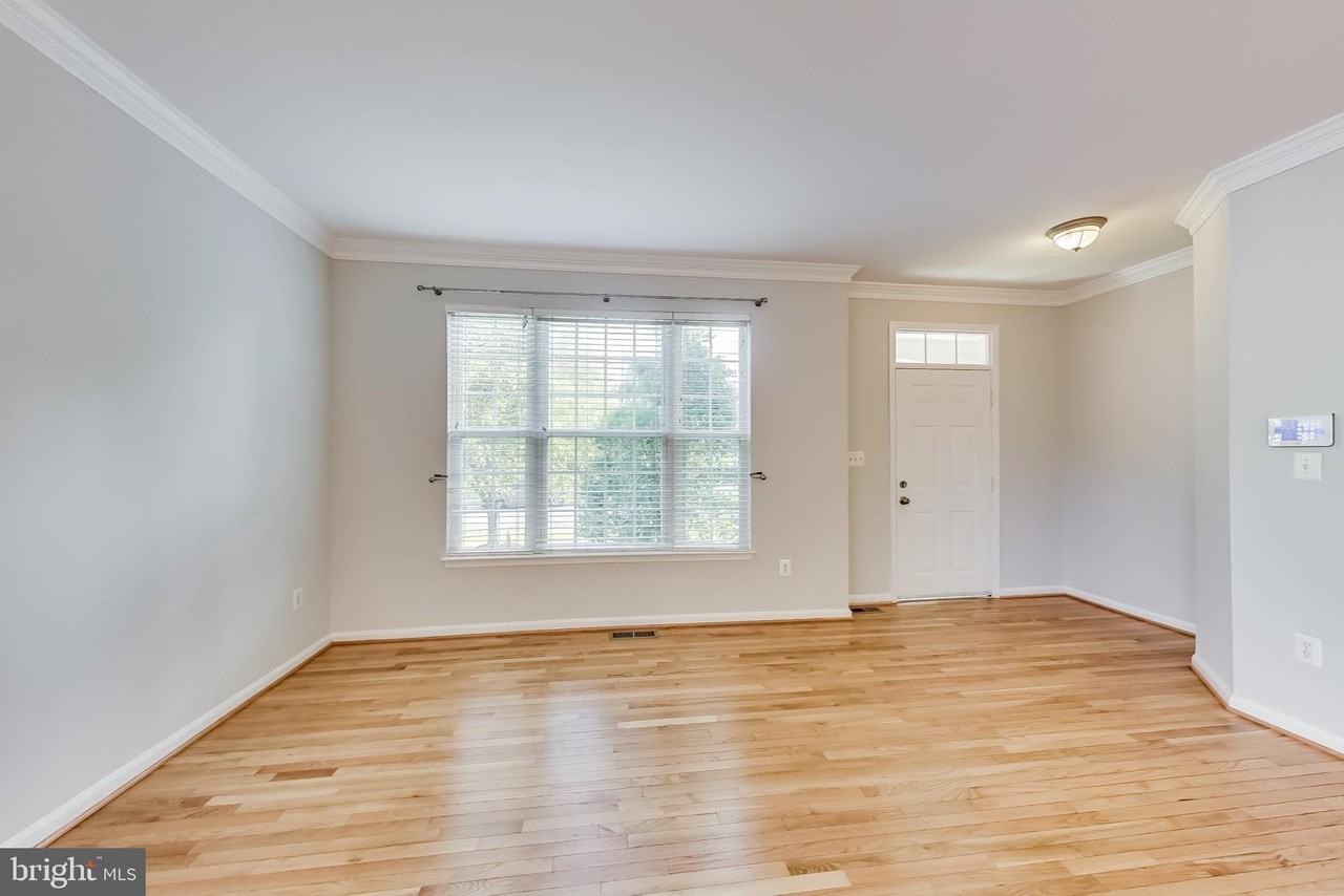 43537 Clivedon Ct - Photo 3 of 50