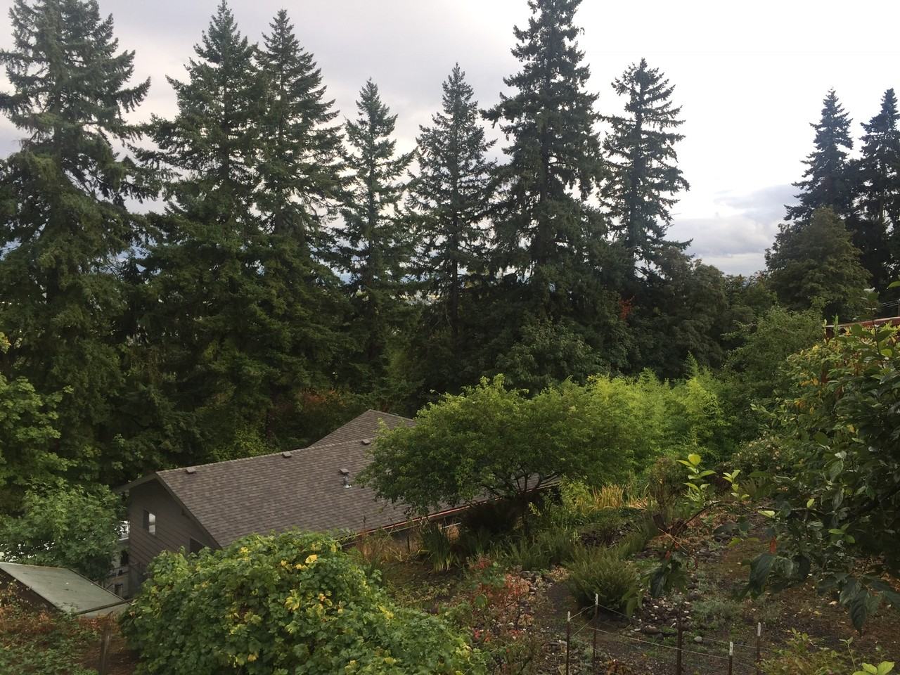 4138 Sw 4th Ave #NA - Photo 3 of 14