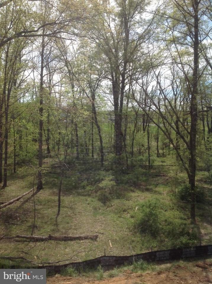204 Upper Brook Ter - Photo 3 of 39
