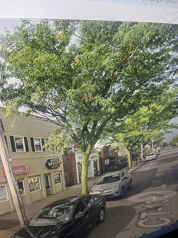 2865 Fairfield Ave - Photo 2 of 3