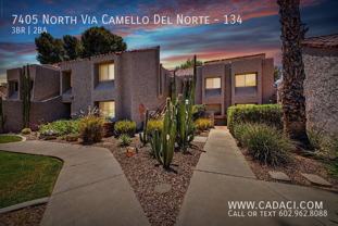 7405 N Via Camello Del Norte #134 - Photo 1 of 1