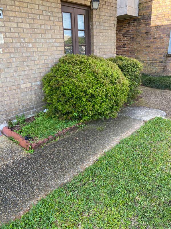 4624 Fairfield St - Photo 2 of 18
