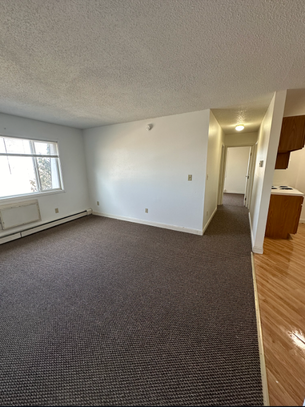1516 Highwaye #302 - Photo 6 of 8