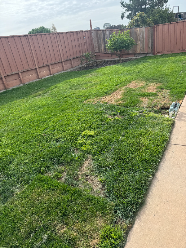 2090 Blackwood Drive, San Pablo, Ca - Photo 6 of 6