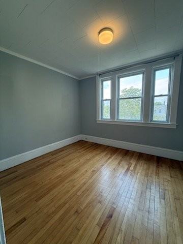 213 Laurel St #5 - Photo 4 of 11
