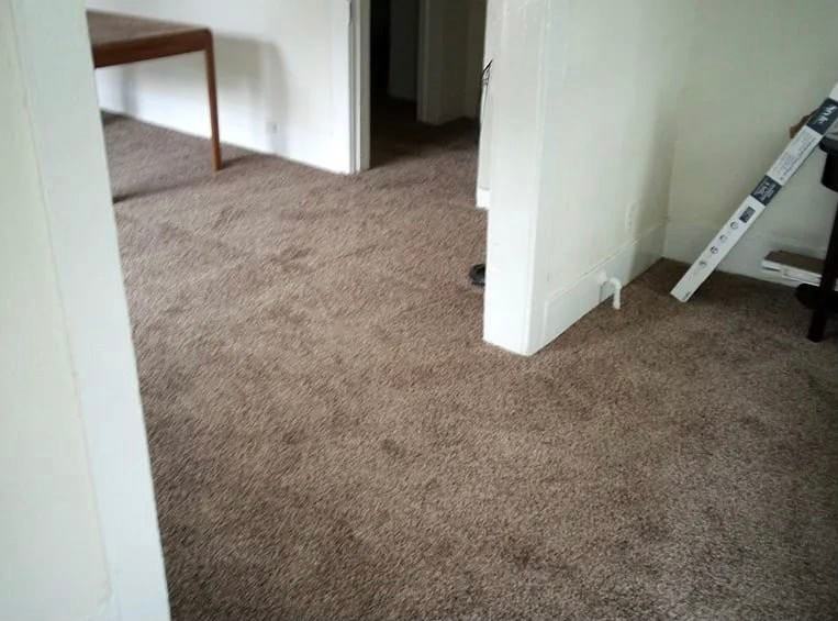 2516 Lawrence St - Photo 6 of 8