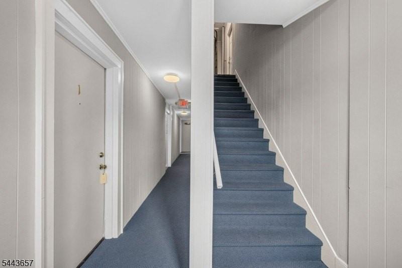 56 W Somerset St #1 - Photo 5 of 22