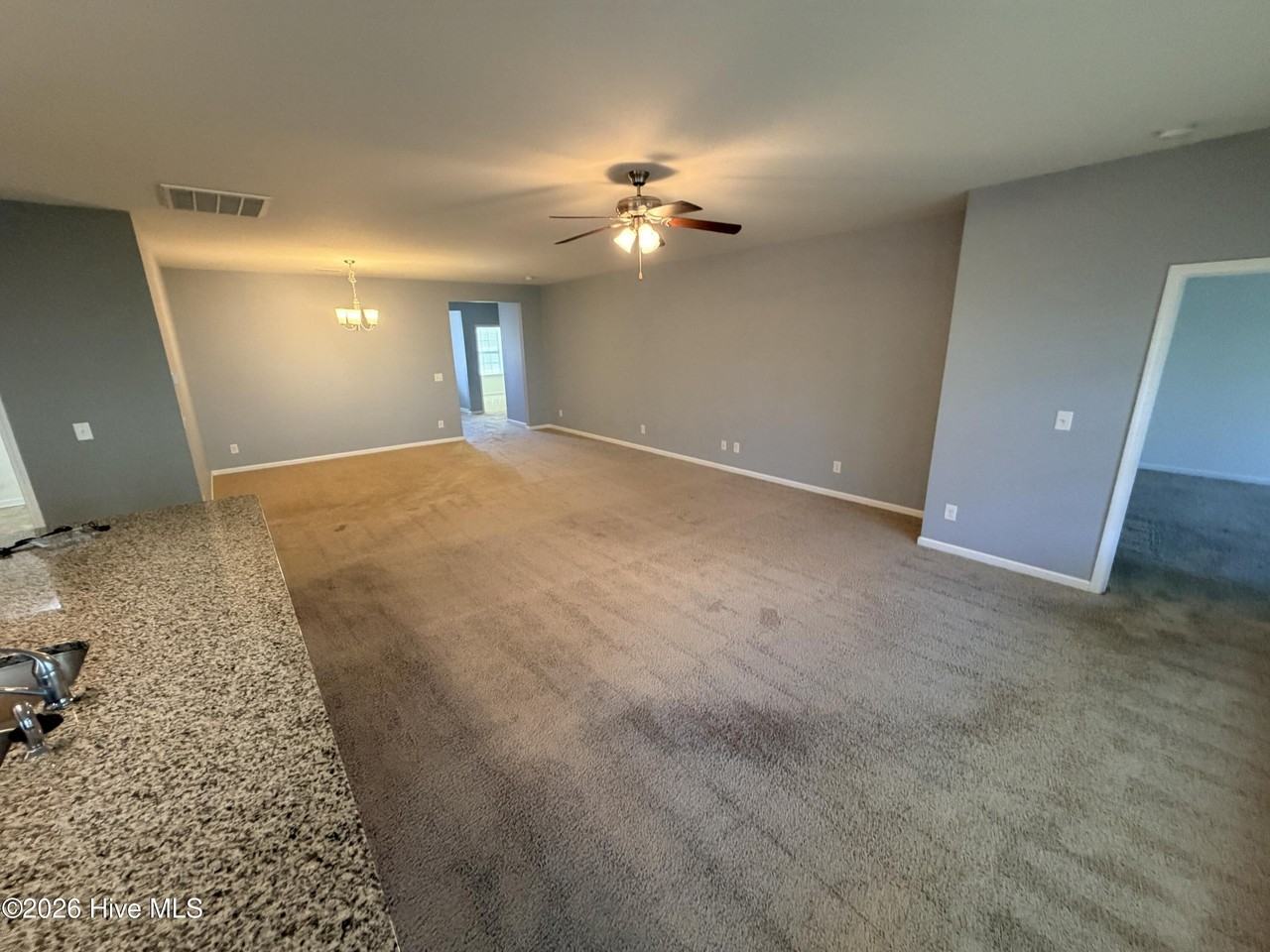 319 Louisia Mae Way - Photo 4 of 20