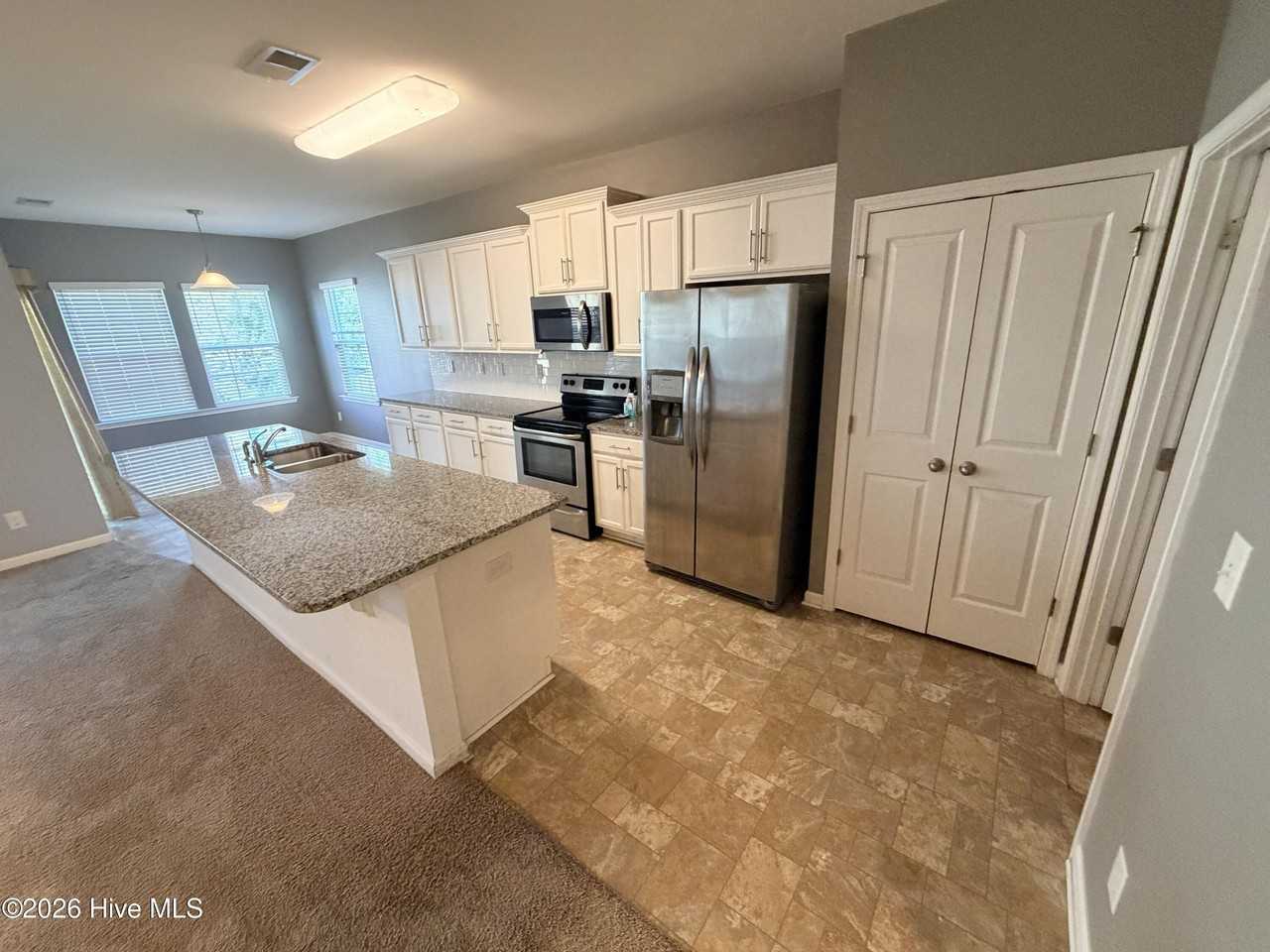 319 Louisia Mae Way - Photo 7 of 20