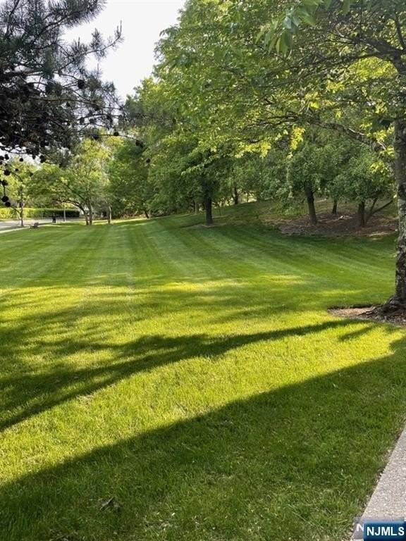 1509 Cornwall Rd - Photo 5 of 14