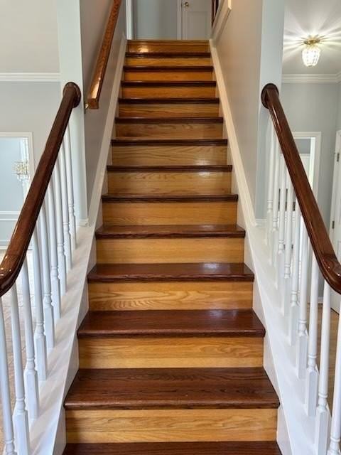 110 Noritake Dr - Photo 2 of 14