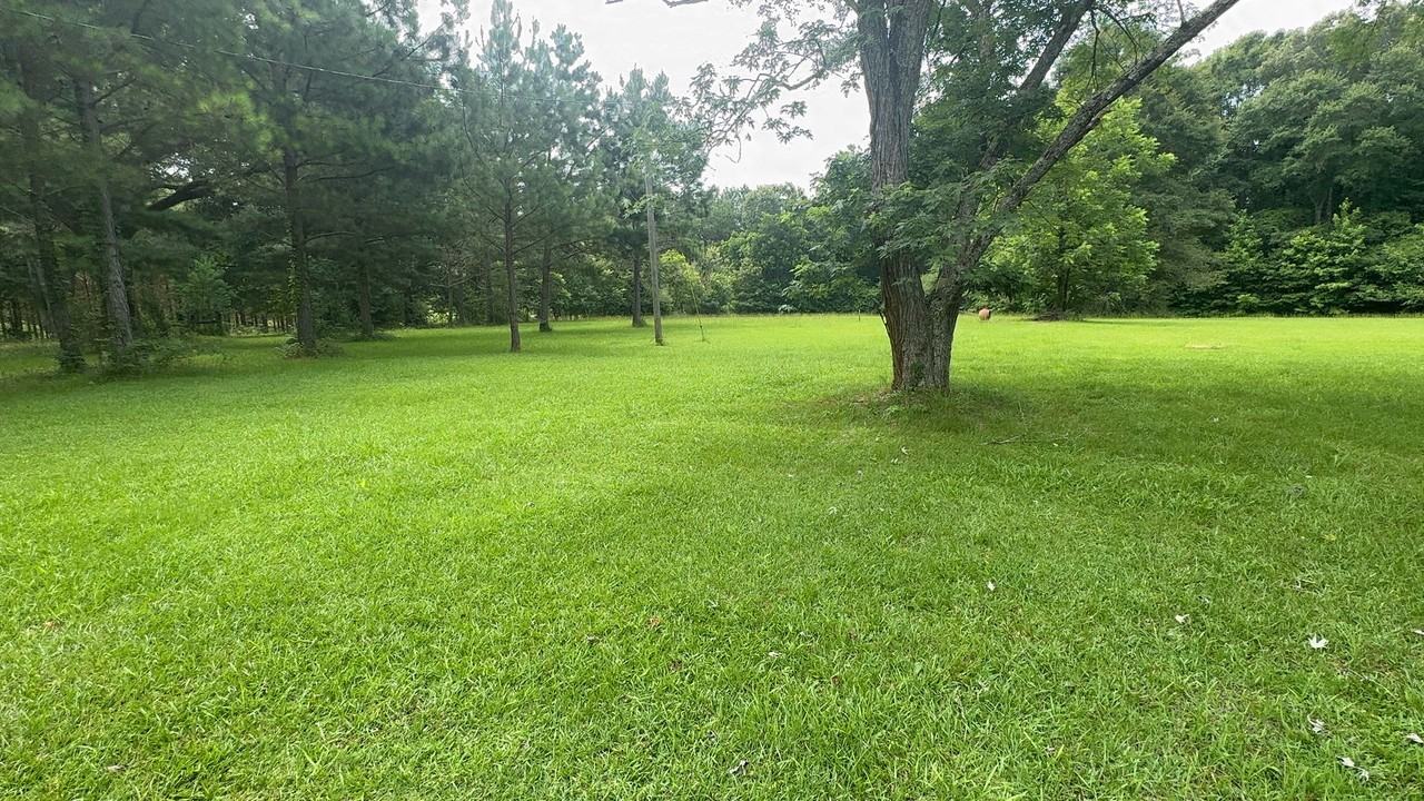 206 Webb Rd - Photo 2 of 10