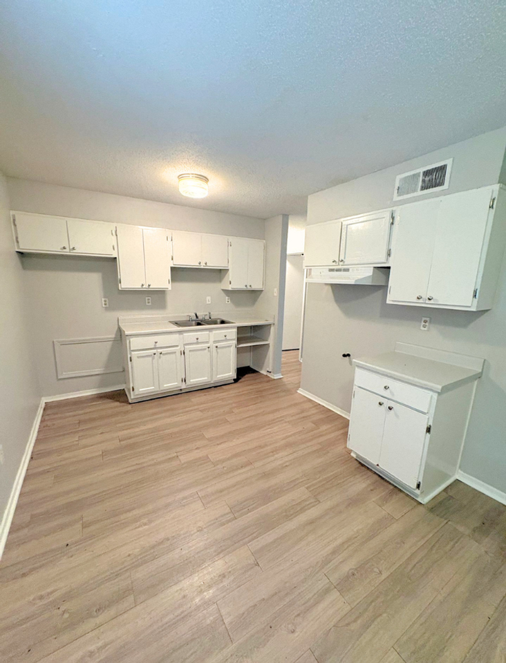 3666 Bluff Wood Dr - Photo 3 of 18