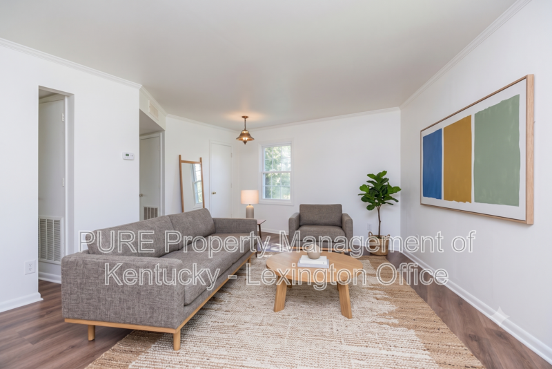 429 Chestnut St #11 - Photo 3 of 14