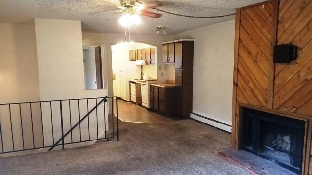 2228 Canyon Blvd - Photo 5 of 14
