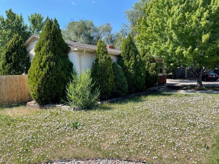 1773 Palmer Park Blvd - Photo 2 of 40